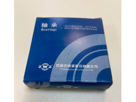 0922080804 Подшипник 6204 ZWZ China